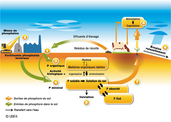 La fable de la fertilisation au CO2 liquide – Les effets