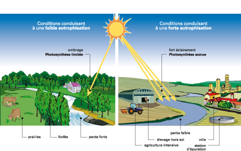 L'azote est un élément indispensable à l'agriculture, mais il peut  entrainer des pollutions