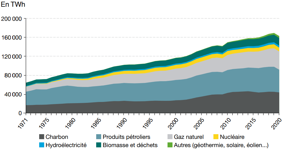 Crise énergétique : échange bois de chauffage contre entretien de la forêt