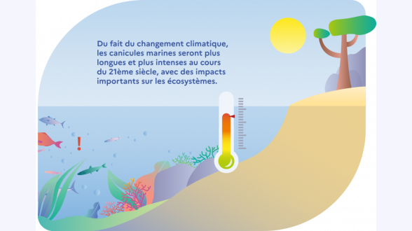 Les département de métropole ont perdu, en moyenne, 11 espèces de papillons de jour au cours des 20 dernières années. {Source : indicateur ONB}