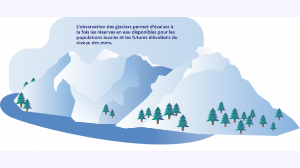 {{{Quelles sont les conséquences environnementales, économiques et sociales ?}}} -* Disparition ou dégradation des <sc>moyens de subsistance</sc> de <sc>{{1,6 milliard}}</sc> de personnes, dont {{60~millions de membres}} de communautés autochtones. -* Contribution à environ {{11~%}} des émissions de <sc>gaz à effet de serre</sc>. -* <sc>Disparition de milieux naturels et d'espèces</sc> _ Par exemple, {{70~%}} des grands singes ont disparu en 50 ans, notamment du fait de la disparition de leur habitat liée à la déforestation. 