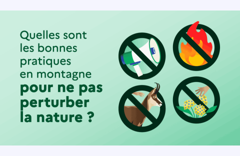 Sur la gauche de l'image, le texte demande : « Quelles sont les bonnes pratiques en montagne pour ne pas perturber la nature ? ». À droite, quatre panneaux ronds sont barrés pour montrer ce qu'il ne faut pas faire : ne pas faire de bruit (mégaphone), ne pas faire de feu, ne pas s'approcher des animaux sauvages (isard) et ne pas cueillir de fleurs.