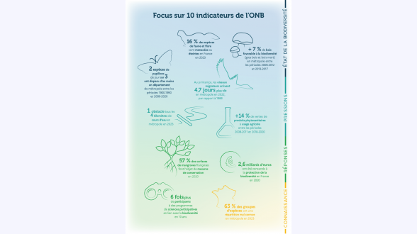 Graphique présentant l'évolution de la précarité énergétique, au sens du taux d'effort énergétique Valeurs de l'indicateur brut pour les années 2015 à 2022 : 12,1 % / 11,2 % / 11,2 % / 11,5 % / 11,0 % / 9,9 % / 11,7 % / 10,8 % Valeurs de l'indicateur corrigé de la météo pour les années 2015 à 2022 : 12,6 % / 11,0 % / 11,4 % / 12,1 % / 11,4 % / 10,9 % / 11,6 % / 11,6 % Note de lecture : en 2022, l'indicateur de précarité énergétique basé sur le taux d'effort énergétique s'élève à 10,8 %. Corrigé des conditions météorologiques, il est de 11,6 %. Champ : France métropolitaine, hors ménages étudiants. Source : CGDD, modèle Prometheus 2024. En 2021, 11,9 % des ménages vivant en France métropolitaine, soit 3,4 millions de ménages, sont en situation de précarité énergétique (graphique 1). L'indicateur « brut » de précarité énergétique basé sur le taux d'effort énergétique (voir encadré) augmente ainsi de 1,4 point par rapport à 2020 [1]. L'indicateur « brut » de précarité énergétique retrouve ainsi des niveaux proches de la période 2016-2019 où il atteignait en moyenne 11,7 %.