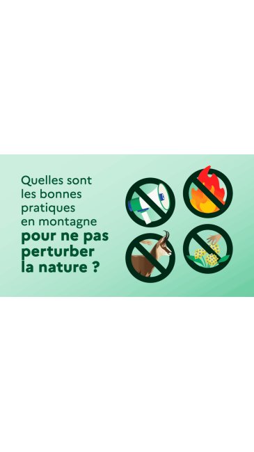 Sur la gauche de l'image, le texte demande : « Quelles sont les bonnes pratiques en montagne pour ne pas perturber la nature ? ». À droite, quatre panneaux ronds sont barrés pour montrer ce qu'il ne faut pas faire : ne pas faire de bruit (mégaphone), ne pas faire de feu, ne pas s'approcher des animaux sauvages (isard) et ne pas cueillir de fleurs.