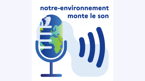 Ce schéma présente les logiques de l'économie de la fonctionnalité: -* s'il s'agit de services, la logique est dite « servicielle »; -* s'il s'agit de biens, la logique est celle du cycle de vie de ces biens. Dans les premiers cas, l'économie de la fonctionnalité consiste à élaborer des solutions intégrées reposant sur la vente d'une performance d'usage (avec contractualisation sur un résultat). Dans le second cas, elle consiste à élaborer des solutions intégrées reposant sur la vente de l'usage de biens (location, mutualisation).