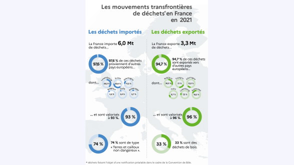 Photo d'un chacal doré