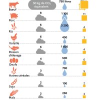 L'infographie montre l'impact environnemental de différentes sources de protéines. Pour chaque aliment, trois mesures sont indiquées : l'empreinte carbone (en kg équivalent CO<sub>2</sub>), l'empreinte eau~(litres) et l'empreinte terre~(m<sup>2</sup>), toutes calculées pour 100~g de protéines. Les données sont présentées par ordre décroissant d'impact climatique~: -* bœuf~: 50~kg équivalent CO<sub>2</sub>, 750~litres d'eau, 22~m<sup>2</sup> de terre~; -* porc~: 8~kg équivalent CO<sub>2</sub>, 1~100~litres d'eau, 11~m<sup>2</sup> de terre~; -* riz~: 6~kg équivalent CO<sub>2</sub>, 3~200~litres d'eau, 4~m<sup>2</sup> de terre~; -* volaille~: 6~kg équivalent CO<sub>2</sub>, 400~litres d'eau, 7~m<sup>2</sup> de terre~; -* poisson d'élevage~: 6~kg équivalent CO<sub>2</sub>, 1~600~litres d'eau, 4~m<sup>2</sup> de terre~; -* oeufs~: 4~kg équivalent CO<sub>2</sub>, 500~litres d'eau, 6~m<sup>2</sup> de terre~; -* autres céréales~: 3~kg équivalent CO<sub>2</sub>, 700~litres d'eau, 5~m<sup>2</sup> de terre~; -* Soja~: 2~kg équivalent CO<sub>2</sub>, 100~litres d'eau, 2~m<sup>2</sup> de terre~; -* maïs~: 2~kg équivalent CO<sub>2</sub>, 250~litres d'eau, 3~m<sup>2</sup> de terre~; -* autres légumineuses~: 1~kg équivalent CO<sub>2</sub>, 200~litres d'eau, 7~m<sup>2</sup> de terre. L'infographie illustre notamment que la viande de bœuf a l'impact environnemental le plus élevé dans les trois catégories, tandis que les légumineuses et les céréales ont généralement l'impact le plus faible, notamment en termes d'émissions de gaz à effet de serre. {Source~: CGDD, d'après Poore J. & Nemecek~(2018)}
