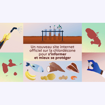 Chlordécone : un nouveau site internet pour mieux comprendre et se protéger