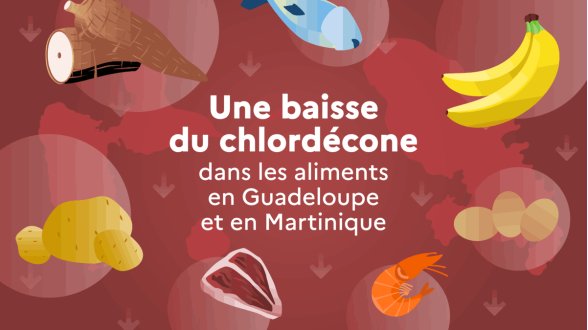 Alimentation : le chlordécone recule en Guadeloupe et Martinique
