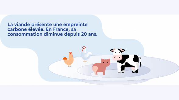 Les département de métropole ont perdu, en moyenne, 11 espèces de papillons de jour au cours des 20 dernières années. {Source : indicateur ONB}