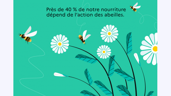 Graphique présentant l'évolution de la précarité énergétique, au sens du taux d'effort énergétique Valeurs de l'indicateur brut pour les années 2015 à 2022 : 12,1 % / 11,2 % / 11,2 % / 11,5 % / 11,0 % / 9,9 % / 11,7 % / 10,8 % Valeurs de l'indicateur corrigé de la météo pour les années 2015 à 2022 : 12,6 % / 11,0 % / 11,4 % / 12,1 % / 11,4 % / 10,9 % / 11,6 % / 11,6 % Note de lecture : en 2022, l'indicateur de précarité énergétique basé sur le taux d'effort énergétique s'élève à 10,8 %. Corrigé des conditions météorologiques, il est de 11,6 %. Champ : France métropolitaine, hors ménages étudiants. Source : CGDD, modèle Prometheus 2024. En 2021, 11,9 % des ménages vivant en France métropolitaine, soit 3,4 millions de ménages, sont en situation de précarité énergétique (graphique 1). L'indicateur « brut » de précarité énergétique basé sur le taux d'effort énergétique (voir encadré) augmente ainsi de 1,4 point par rapport à 2020 [1]. L'indicateur « brut » de précarité énergétique retrouve ainsi des niveaux proches de la période 2016-2019 où il atteignait en moyenne 11,7 %.