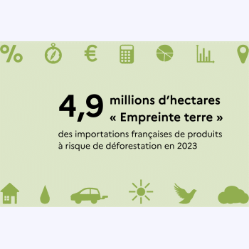 Combien de terres utilisent le soja, le cacao ou le bœuf qui sont importés en France ?