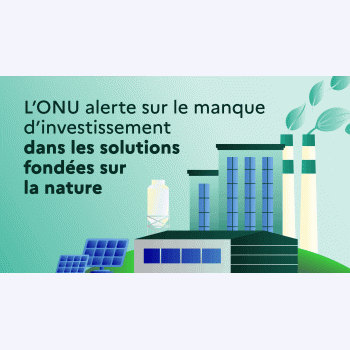 L'urgence de réorienter les financements mondiaux pour protéger la nature