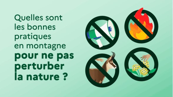Quelles sont les bonnes pratiques en montagne pour ne pas perturber la nature ?