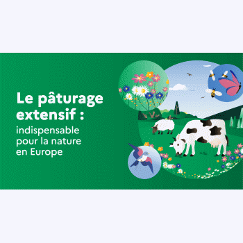 En Europe, les élevages extensifs aident à maintenir des espaces naturels protégés
