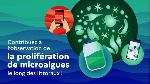 Sciences participatives : signalez les eaux inhabituelles en mer
