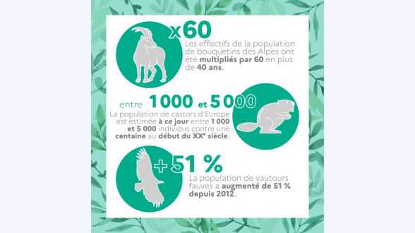 {{{Quelles sont les conséquences environnementales, économiques et sociales ?}}} -* Disparition ou dégradation des <sc>moyens de subsistance</sc> de <sc>{{1,6 milliard}}</sc> de personnes, dont {{60~millions de membres}} de communautés autochtones. -* Contribution à environ {{11~%}} des émissions de <sc>gaz à effet de serre</sc>. -* <sc>Disparition de milieux naturels et d'espèces</sc> _ Par exemple, {{70~%}} des grands singes ont disparu en 50 ans, notamment du fait de la disparition de leur habitat liée à la déforestation. 