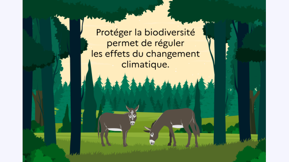 Lecture: Un projet est rentable, <multi>[lat]{i.e.}</multi> la VAN est positive, lorsque le ratio atteint et dépasse 100~% {{{**Delta de l'Aa}}} Pas de variation des prix relatifs: -* Ratio bénéfices-coûts sur 30~ans: 56~% -* Ratio bénéfices-coûts sur 50~ans: 67~% Variation des prix relatifs de 1~%: -* Ratio bénéfices-coûts sur 30~ans: 64~% -* Ratio bénéfices-coûts sur 50~ans: 82~% Variation des prix relatifs de 2~%: -* Ratio bénéfices-coûts sur 30~ans: 73~% -* Ratio bénéfices-coûts sur 50~ans: {{102~%}} {{{**La Selle sur Escaut}}} Pas de variation des prix relatifs: -* Ratio bénéfices-coûts sur 30~ans: 73~% -* Ratio bénéfices-coûts sur 50~ans: 92~% Variation des prix relatifs de 1~%: -* Ratio bénéfices-coûts sur 30~ans: 83~% -* Ratio bénéfices-coûts sur 50~ans: 113~% Variation des prix relatifs de 2~%: -* Ratio bénéfices-coûts sur 30~ans: 96~% -* Ratio bénéfices-coûts sur 50~ans: {{140~%}} {Source: agence de l'eau Artois-Picardie. Calculs CGDD}