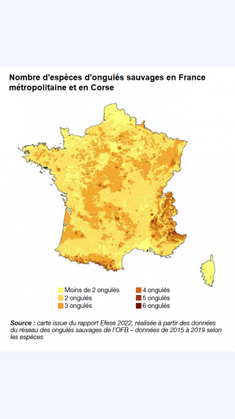 {{Carte présentant le nombre d'espèces d'ongulés sauvages en France métropolitaine et en Corse}} Classes allant de moins de 2~ongulés / 2~ongulés / 3~ongulés / 4~ongulés / 5~ongulés / 6~ongulés { {{Source~:}} Carte issue du rapport Efese~2022, réalisée à partir des données du réseau des ongulés sauvages de l'OFB – données de 2015 à 2019 selon les espèces.} Analyse de la carte, extrait du rapport Efese sur les ongulés sauvages de 2022, page~62~: La progression généralisée des ongulés conduit à une superposition de plus en plus marquée des différentes espèces. Depuis 20~ans, l'aire de répartition du cerf a doublé, notamment par la colonisation des milieux montagnards, et ses effectifs ont été multipliés par~4. En parallèle, les ongulés de montagne ont connu une progression numérique similaire, ainsi qu'une colonisation des milieux de basse altitude. Le chevreuil et le sanglier continuent aussi leur progression en altitude jusqu' à plus de 2~500~m~d'altitude. Les situations de cohabitation entre ongulés se généralisent, principalement dans les milieux forestiers qui représentent environ 40 % des territoires occupés~[…]. Environ 43~% du territoire métropolitain regroupe deux espèces, généralement le sanglier et le chevreuil. C'est dans les régions montagneuses à plus de 600~m qu'on retrouve la plus grande diversité d'ongulés, avec des espèces dites de plaine~(cerf, chevreuil, sanglier) et de montagne (chamois, isard, bouquetin, mouflon)~[…]. Les zones les moins peuplées par les ongulés sont constituées de terrains agricoles et d'espaces urbanisés~[…].