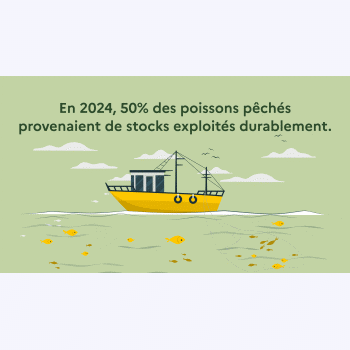 Pêche : des efforts à poursuivre pour préserver les stocks