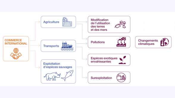 {{{**Gestes de travaux et rénovations globales aidés par MaPrimeRénov'}}} Dossiers engagés en 2022 en France métropolitaine. Sources: Anah, fichiers détaillés 2020, 2021 et 2022 ; taxe d'habitation. Calculs SDES Présentation des valeurs selon: Nombre de logements / Économies d'énergie (en TWh/an) / Économies d'énergie par logement (en MWh/an) / Réduction de GES (en Mt équivalent CO<sub>2</sub>/an) {{Détail des 4 modalités du dispositif:}} -* MaPrimeRénov'«classique» dont 1~700 logements bénéficiant du forfait «rénovation globale»: 602~000 logements / 3,7~TWh/an / 6,2~MWh/an / 1,56~Mt équivalent CO<sub>2</sub>/an -* MaPrimeRénov' Sérénité (propriétaires occupants): 34~000 logements / 0,61~TWh/an | 18,0~MWh/an / non disponible -* Loc'Avantages avec travaux de rénovation énergétique (propriétaires bailleurs): 4~000 logements / 0,07~TWh/an / 17,2~MWh/an / non disponible -* MaPrimeRénov' Copropriétés: 26~000 logements / 0,21~TWh/an / 8,2~MWh/an / non disponible. {{Total pour toutes aides MaPrimeRénov': 666~000 logements / 4,6~TWh/an / 6,9~MWh/an / non disponible}} -* dont rénovations par gestes: 600~000 logements / 3,7~TWh/an / 6,2~MWh/an / 1,56~Mt équivalent CO<sub>2</sub>/an -* dont rénovations globales (forfait «rénovation globale», MaPrimeRénov' Sérénité, Loc'Avantages avec travaux de rénovation énergétique, MaPrimeRénov' Copropriétés): 66~000 logements / 0,9~TWh/an / 13,5~MWh/an / non disponible.