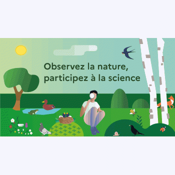 Comment vous pouvez participer à la science en observant la nature