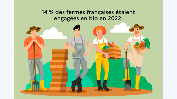 Graphique présentant l'évolution de la précarité énergétique, au sens du taux d'effort énergétique Valeurs de l'indicateur brut pour les années 2015 à 2022 : 12,1 % / 11,2 % / 11,2 % / 11,5 % / 11,0 % / 9,9 % / 11,7 % / 10,8 % Valeurs de l'indicateur corrigé de la météo pour les années 2015 à 2022 : 12,6 % / 11,0 % / 11,4 % / 12,1 % / 11,4 % / 10,9 % / 11,6 % / 11,6 % Note de lecture : en 2022, l'indicateur de précarité énergétique basé sur le taux d'effort énergétique s'élève à 10,8 %. Corrigé des conditions météorologiques, il est de 11,6 %. Champ : France métropolitaine, hors ménages étudiants. Source : CGDD, modèle Prometheus 2024. En 2021, 11,9 % des ménages vivant en France métropolitaine, soit 3,4 millions de ménages, sont en situation de précarité énergétique (graphique 1). L'indicateur « brut » de précarité énergétique basé sur le taux d'effort énergétique (voir encadré) augmente ainsi de 1,4 point par rapport à 2020 [1]. L'indicateur « brut » de précarité énergétique retrouve ainsi des niveaux proches de la période 2016-2019 où il atteignait en moyenne 11,7 %.