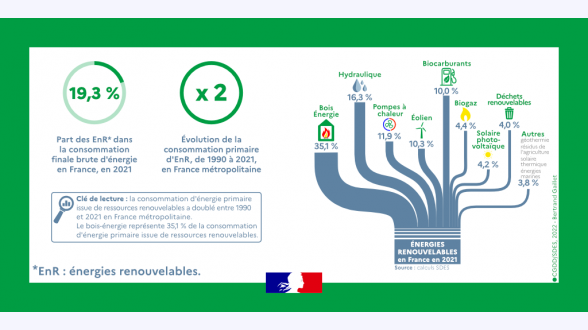 Les département de métropole ont perdu, en moyenne, 11 espèces de papillons de jour au cours des 20 dernières années. {Source : indicateur ONB}