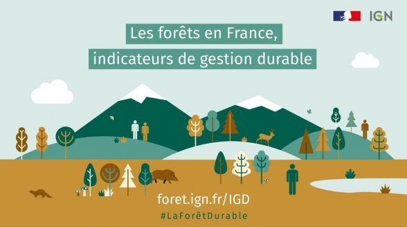 {{{Quelles sont les conséquences environnementales, économiques et sociales ?}}} -* Disparition ou dégradation des <sc>moyens de subsistance</sc> de <sc>{{1,6 milliard}}</sc> de personnes, dont {{60~millions de membres}} de communautés autochtones. -* Contribution à environ {{11~%}} des émissions de <sc>gaz à effet de serre</sc>. -* <sc>Disparition de milieux naturels et d'espèces</sc> _ Par exemple, {{70~%}} des grands singes ont disparu en 50 ans, notamment du fait de la disparition de leur habitat liée à la déforestation. 