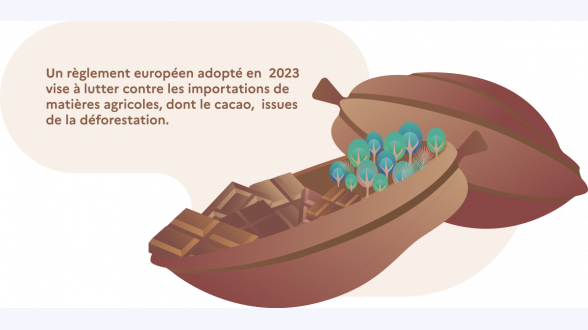 {{{**Gestes de travaux et rénovations globales aidés par MaPrimeRénov'}}} Dossiers engagés en 2022 en France métropolitaine. Sources: Anah, fichiers détaillés 2020, 2021 et 2022 ; taxe d'habitation. Calculs SDES Présentation des valeurs selon: Nombre de logements / Économies d'énergie (en TWh/an) / Économies d'énergie par logement (en MWh/an) / Réduction de GES (en Mt équivalent CO<sub>2</sub>/an) {{Détail des 4 modalités du dispositif:}} -* MaPrimeRénov'«classique» dont 1~700 logements bénéficiant du forfait «rénovation globale»: 602~000 logements / 3,7~TWh/an / 6,2~MWh/an / 1,56~Mt équivalent CO<sub>2</sub>/an -* MaPrimeRénov' Sérénité (propriétaires occupants): 34~000 logements / 0,61~TWh/an | 18,0~MWh/an / non disponible -* Loc'Avantages avec travaux de rénovation énergétique (propriétaires bailleurs): 4~000 logements / 0,07~TWh/an / 17,2~MWh/an / non disponible -* MaPrimeRénov' Copropriétés: 26~000 logements / 0,21~TWh/an / 8,2~MWh/an / non disponible. {{Total pour toutes aides MaPrimeRénov': 666~000 logements / 4,6~TWh/an / 6,9~MWh/an / non disponible}} -* dont rénovations par gestes: 600~000 logements / 3,7~TWh/an / 6,2~MWh/an / 1,56~Mt équivalent CO<sub>2</sub>/an -* dont rénovations globales (forfait «rénovation globale», MaPrimeRénov' Sérénité, Loc'Avantages avec travaux de rénovation énergétique, MaPrimeRénov' Copropriétés): 66~000 logements / 0,9~TWh/an / 13,5~MWh/an / non disponible.