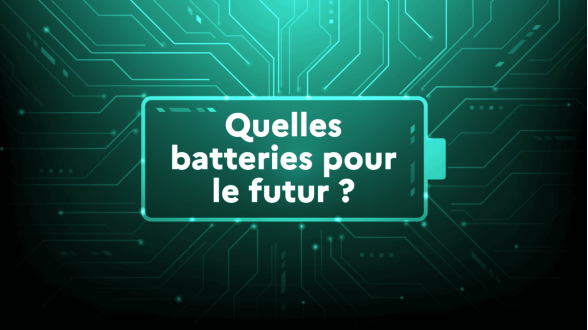 À gauche, le texte indique: «Désinformation climatique: garantir la fiabilité et la transparence de l'information». À droite, une femme assise devant son ordinateur se tient la tête à deux mains, fatiguée par tout ce qu'elle lit. Derrière elle, la planète Terre est orange et brûlante. Tout autour d'elle, plusieurs bulles de texte affichent des mensonges ou des excuses sur le climat (comme «le tri des déchets ne sert à rien» ou «le réchauffement climatique est naturel»).