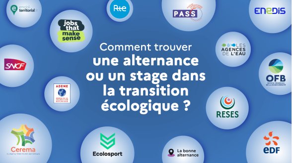 Comment trouver un stage ou une alternance dans les métiers de l'environnement ?