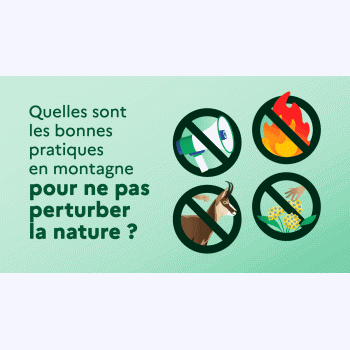 Quelles sont les bonnes pratiques en montagne pour ne pas perturber la nature ?