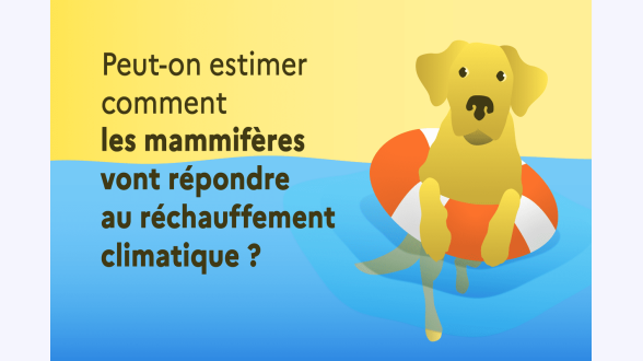 {{Estimations 2023}} Estimation des émissions nationales de gaz à effet de serre de la France (format Secten) : {{Émissions de GES par habitant : 5,5 tonnes par personne}} Répartition : {{373 Mt CO₂ éq}} -* Émissions directes des ménages -* Émissions intérieures -* Émissions des biens et services exportés Empreinte carbone de la France par habitant : 9,4 tonnes par personne Répartition : {{644 Mt CO₂ éq}} -* Émissions directes des ménages -* Émissions intérieures -* Émissions des biens et services importés