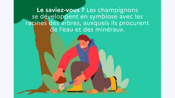 Graphique présentant l'évolution de la précarité énergétique, au sens du taux d'effort énergétique Valeurs de l'indicateur brut pour les années 2015 à 2022 : 12,1 % / 11,2 % / 11,2 % / 11,5 % / 11,0 % / 9,9 % / 11,7 % / 10,8 % Valeurs de l'indicateur corrigé de la météo pour les années 2015 à 2022 : 12,6 % / 11,0 % / 11,4 % / 12,1 % / 11,4 % / 10,9 % / 11,6 % / 11,6 % Note de lecture : en 2022, l'indicateur de précarité énergétique basé sur le taux d'effort énergétique s'élève à 10,8 %. Corrigé des conditions météorologiques, il est de 11,6 %. Champ : France métropolitaine, hors ménages étudiants. Source : CGDD, modèle Prometheus 2024. En 2021, 11,9 % des ménages vivant en France métropolitaine, soit 3,4 millions de ménages, sont en situation de précarité énergétique (graphique 1). L'indicateur « brut » de précarité énergétique basé sur le taux d'effort énergétique (voir encadré) augmente ainsi de 1,4 point par rapport à 2020 [1]. L'indicateur « brut » de précarité énergétique retrouve ainsi des niveaux proches de la période 2016-2019 où il atteignait en moyenne 11,7 %.