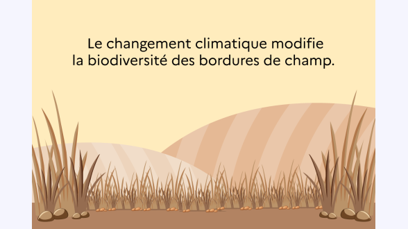 Graphique présentant le lien entre le taux de couverture des parcs et jardins (abscisse en~%) et la part de population y ayant accès à moins de 300~m (ordonnée en~%) -* Paris: 5,6~%; 60,1~% {{Centres urbains de 200~000~habitants ou plus (hors Paris)}} -* Angers: 4,7~%; 50,9~% -* Bordeaux: 5,5~%; 47,2~% -* Cannes-Antibes: 1,3~%; 32,4~% -* Dijon: 7,1~%; 71,0~% -* Grenoble: 2,9~%; 71,0~% -* Lens: 4,3~%; 32,3~% -* Lille: 3,6~%; 51,9~% -* Lyon: 2,7~%; 49,0~% -* Marseille: 1,3~%; 40,3~% -* Montpellier: 2,9~%; 58,8~% -* Mulhouse: 1,7~%; 58,4~% -* Nancy: 2,2~%; 50,7~% -* Nantes: 4,5~%; 46,8~% -* Nice: 2,0~%; 43,1~% -* Orléans: 3,6~%; 47,7~% -* Reims: 3,3~%; 71,8~% -* Rennes: 3,6~%; 62,6~% -* Rouen: 1,6~%; 41,7~% -* Saint-Étienne: 2,1~%; 44,0~% -* Strasbourg: 2,2~%; 58,5~% -* Toulon: 1,4~%; 37,1~% -* Toulouse: 3,9~%; 42,5~% -* Tours: 2,2~%; 49,9~% {{Centres urbains de moins de 200~000~habitants, dense}} -* Amiens: 2,5~%; 50,9~% -* Annecy: 1,1~%; 52,9~% -* Annemasse-Geneva: 2,5~%; 74,0~% -* Arras: 2,2~%; 52,4~% -* Bayonne: 1,4~%; 43,4~% -* Belfort: 1,6~%; 62,7~% -* Besançon: 1,4~%; 53,5~% -* Boulogne-sur-Mer: 2,2~%; 35,4~% -* Brest: 2,9~%; 56,8~% -* Caen: 2,1~%; 40,3~% -* Calais: 1,0~%; 24,7~% -* Chartres: 1,2~%; 34,1~% -* Clermont-Ferrand: 1,8~%; 44,3~% -* Creil: 2,3~%; 75,1~% -* Dunkerque: 2,6~%; 44,3~% -* La Rochelle: 2,8~%; 52,7~% -* La Seyne-sur-Mer: 0,4~%; 12,1~% -* Le Havre: 5,2~%; 36,8~% -* Le Mans: 4,8~%; 55,1~% -* Lorient: 1,8~%; 40,7~% -* Mantes-la-Jolie: 2,1~%; 33,3~% -* Meaux: 4,5~%; 33,3~% -* Melun: 3,3~%; 58,9~% -* Metz: 2,4~%; 50,0~% -* Pau: 1,2~%; 45,9~% -* Perpignan: 1,0~%; 47,3~% -* Poitiers: 1,5~%; 33,2~% -* Troyes: 2,4~%; 32,0~% -* Valence: 1,8~%; 47,9~% -* Vannes: 1,3~%; 41,2~% {{Centres urbains de moins de 200~000~habitants, peu dense}} -* Aix-en-Provence: 0,6~%; 31,8~% -* Avignon: 0,7~%; 38,6~% -* Bourges: 0,4~%; 23,0~% -* Béziers: 0,6~%; 31,4~% -* Chambéry: 1,5~%; 53,9~% -* Cherbourg-en-Cotentin: 1,6~%; 25,7~% -* Colmar: 0,5~%; 48,5~% -* Douai: 1,5~%; 23,1~% -* Fréjus: 0,8~%; 16,3~% -* Hayange: 0,9~%; 35,1~% -* Limoges: 2,5~%; 43,7~% -* Martigues: 2,2~%; 35,2~% -* Montbéliard: 1,4~%; 46,6~% -* Nîmes: 0,3~%; 23,5~% -* Quimper: 0,2~%; 15,2~% -* Saint-Brieuc: 1,3~%; 56,4~% -* Saint-Louis-Bâle: 0,7~%; 55,3~% -* Valenciennes: 0,8~%; 29,8~% {{Ensemble des grands centres urbains: 3,2~%; 52,4~%}} Lecture: 0,2~% de la superficie de Quimper est couverte par des parcs et jardins publics, et 15,2~% de sa population y a accès en moins de cinq minutes de marche. Champ: les 72~grands centres urbains de France métropolitaine. Sources: Insee, Filosofi 2019 ; les contributeurs OpenStreetMap, sous licence OdbL ; IGN, BD TOPO. Traitements: Insee et SDES, 2024