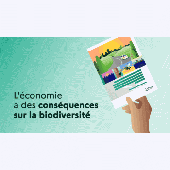 L'économie mondiale dépend d'une nature en bonne santé