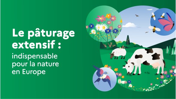 En Europe, les élevages extensifs aident à maintenir des espaces naturels protégés