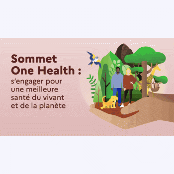 Santé humaine, animale et environnement : tout est lié