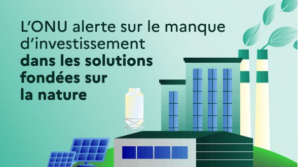 L'urgence de réorienter les financements mondiaux pour protéger la nature