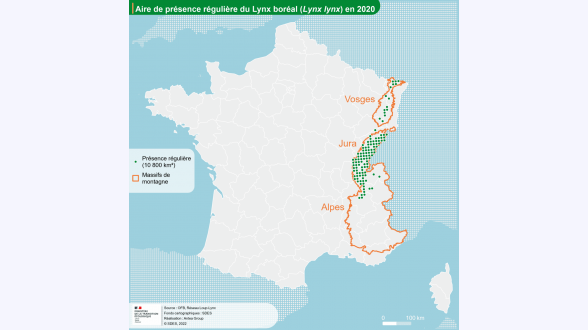 {{{Quelles sont les conséquences environnementales, économiques et sociales ?}}} -* Disparition ou dégradation des <sc>moyens de subsistance</sc> de <sc>{{1,6 milliard}}</sc> de personnes, dont {{60~millions de membres}} de communautés autochtones. -* Contribution à environ {{11~%}} des émissions de <sc>gaz à effet de serre</sc>. -* <sc>Disparition de milieux naturels et d'espèces</sc> _ Par exemple, {{70~%}} des grands singes ont disparu en 50 ans, notamment du fait de la disparition de leur habitat liée à la déforestation. 