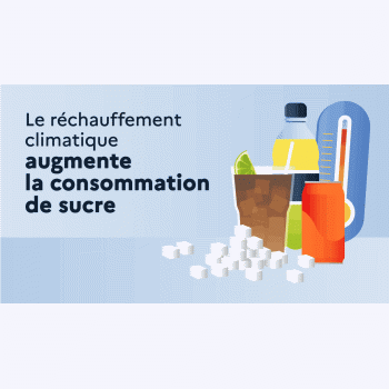 Plus il fait chaud, plus la consommation de sucre augmente