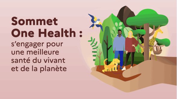 Santé humaine, animale et environnement : tout est lié