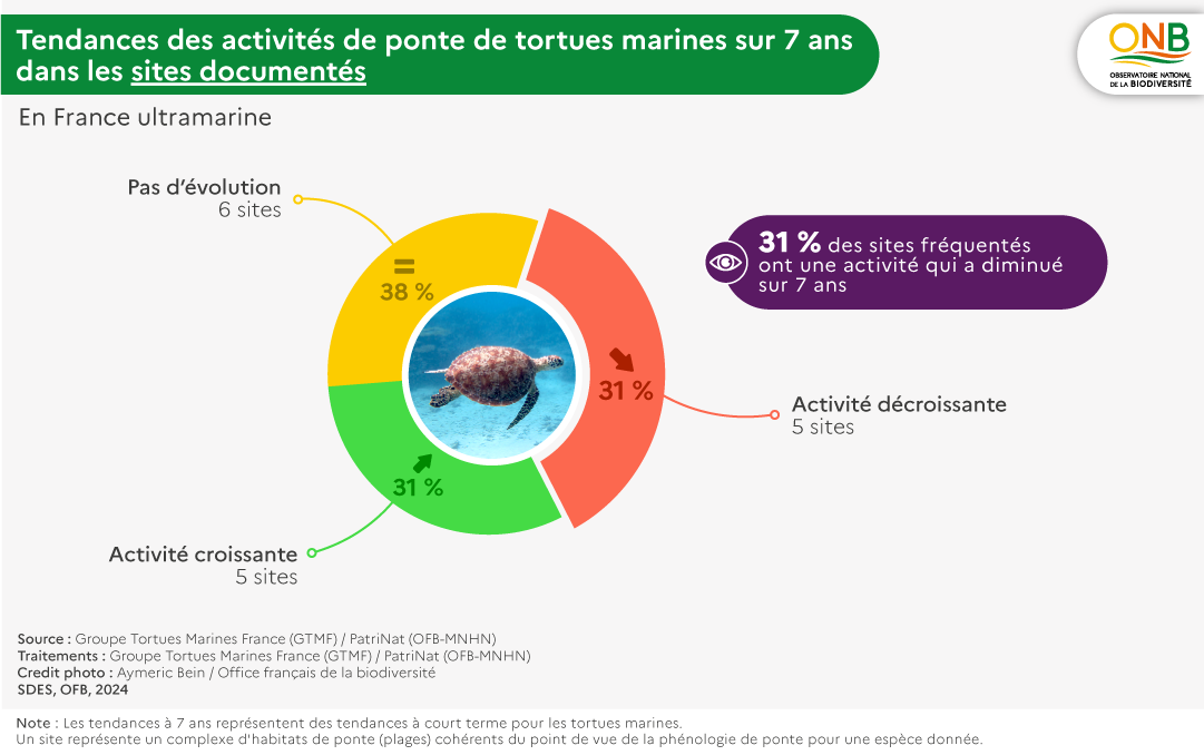 Tendance des activités de ponte de tortues marines sur 7 ans dans les sites documentés en France ultramarine