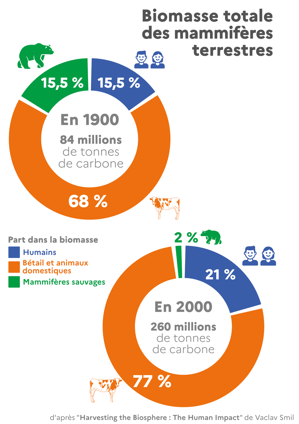 Biomasse totale des mammifères terrestres