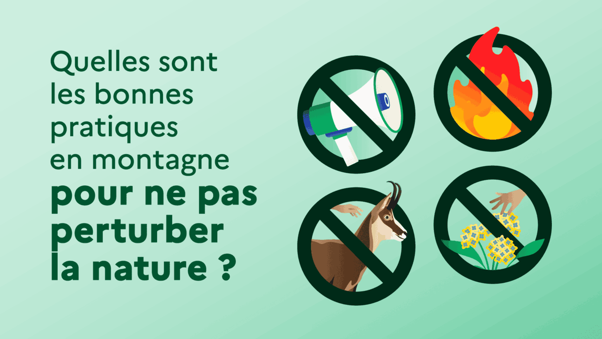 Quelles sont les bonnes pratiques en montagne pour ne pas perturber la nature ?