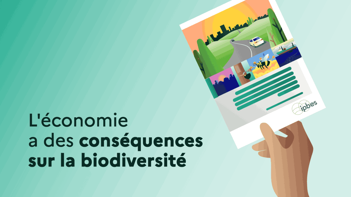 L'économie a des conséquences sur la biodiversité