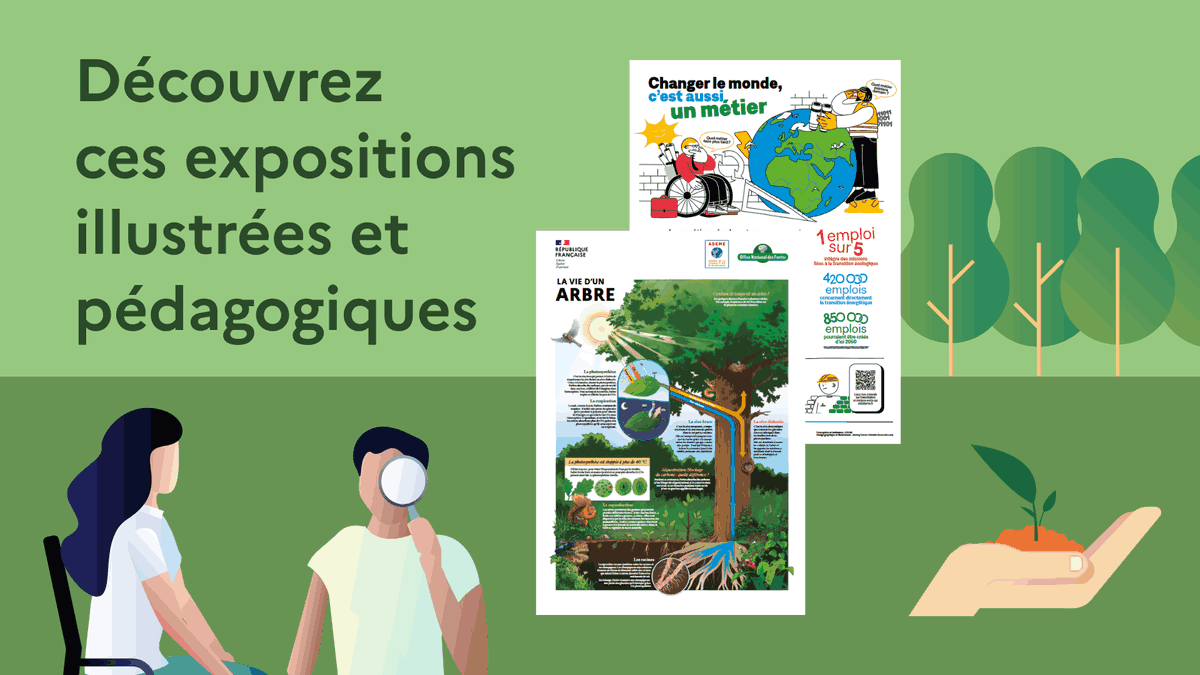 Découvrez ces expositions illustrées et pédagogiques