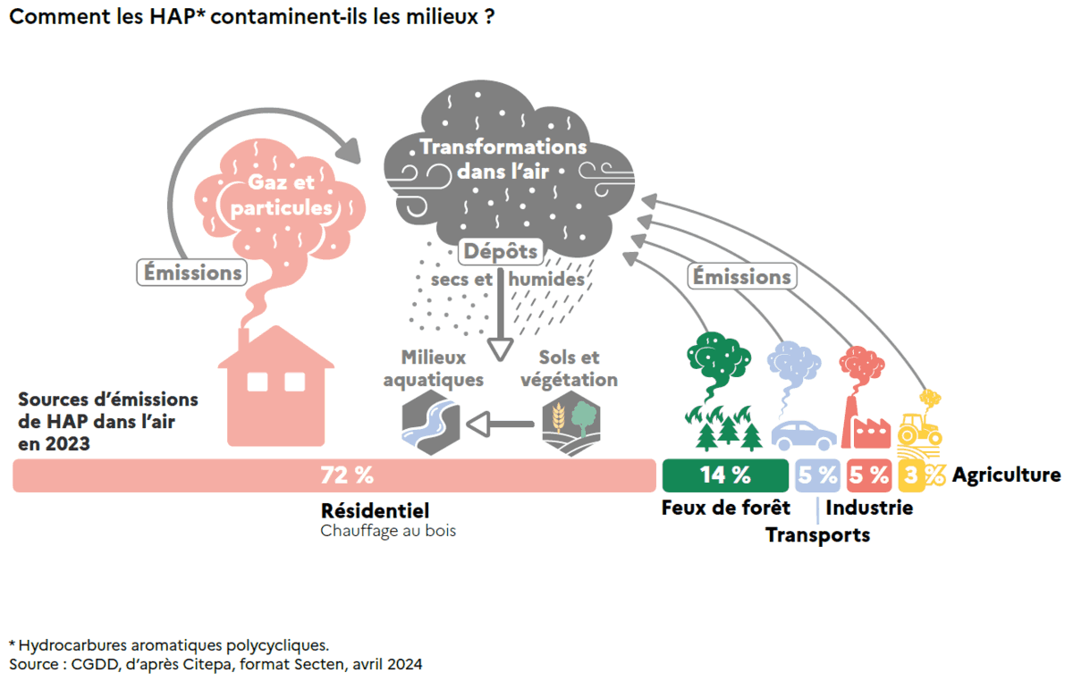 Comment les hydrocarbures aromatiques polycycliques (HAP) contaminent-ils les milieux ?