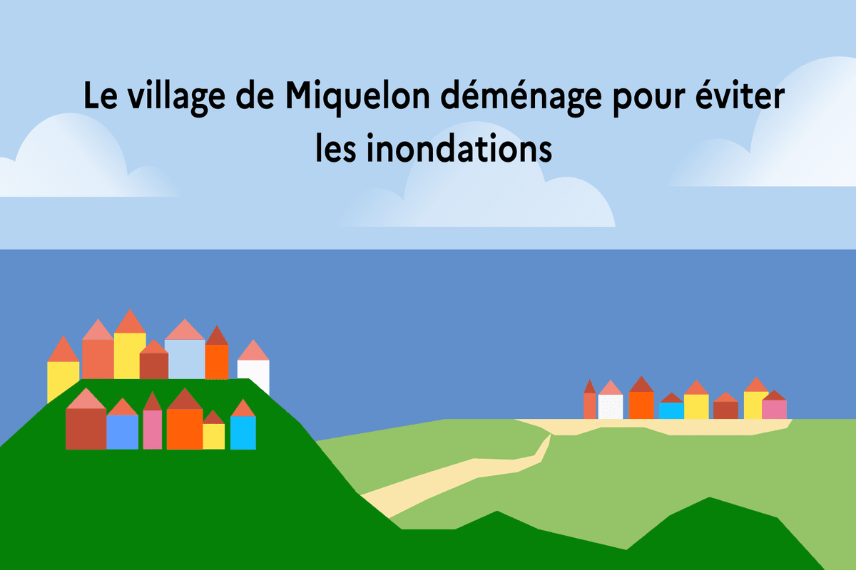 illustration_miquelon_1_-min-1134d.png